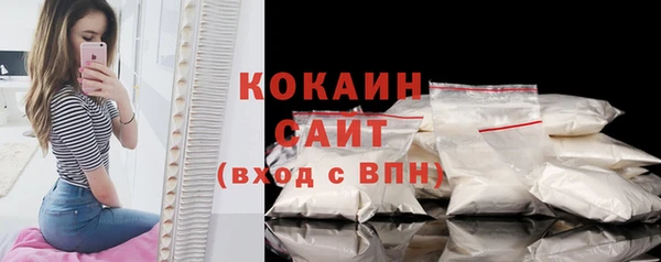 спайс Пересвет