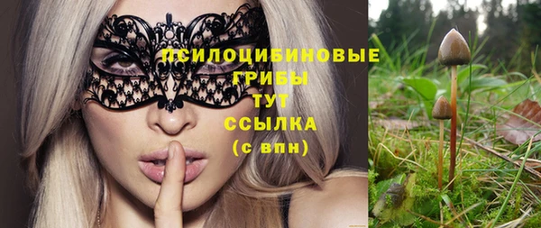 таблы Аркадак
