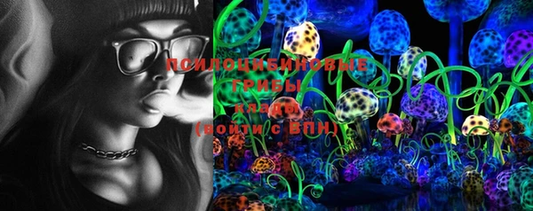PSILOCYBIN Остров