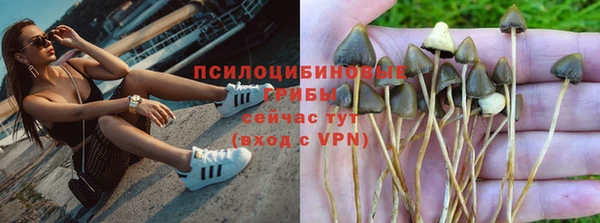 PSILOCYBIN Остров