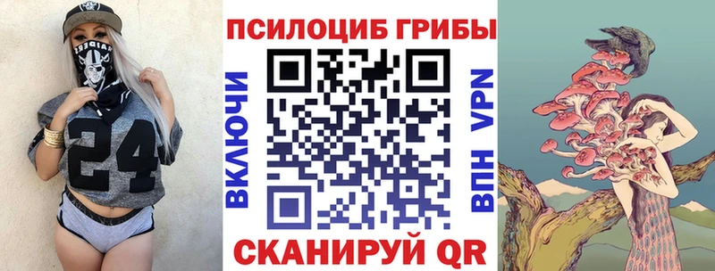 Псилоцибиновые грибы Cubensis  мориарти Telegram  Андреаполь 